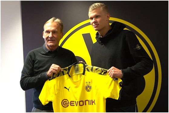 球场因素 球场因素